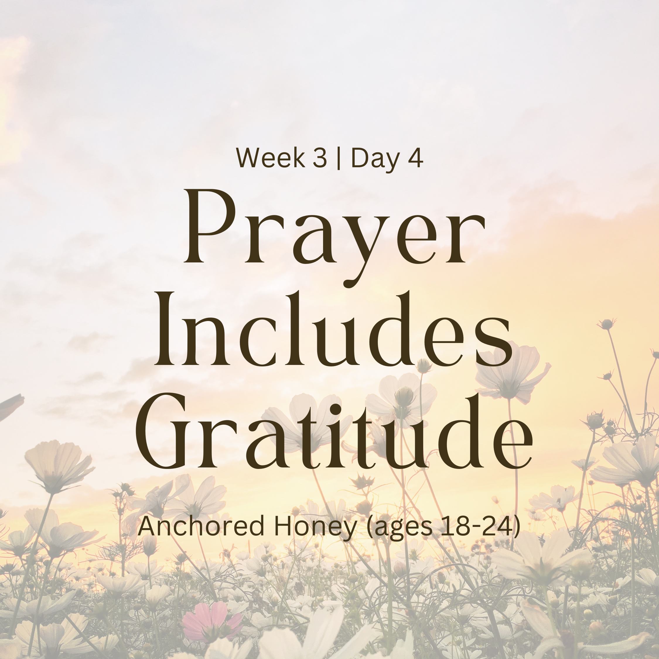Week 3 | Day 4 – Prayer Includes Gratitude (Anchored Honey)