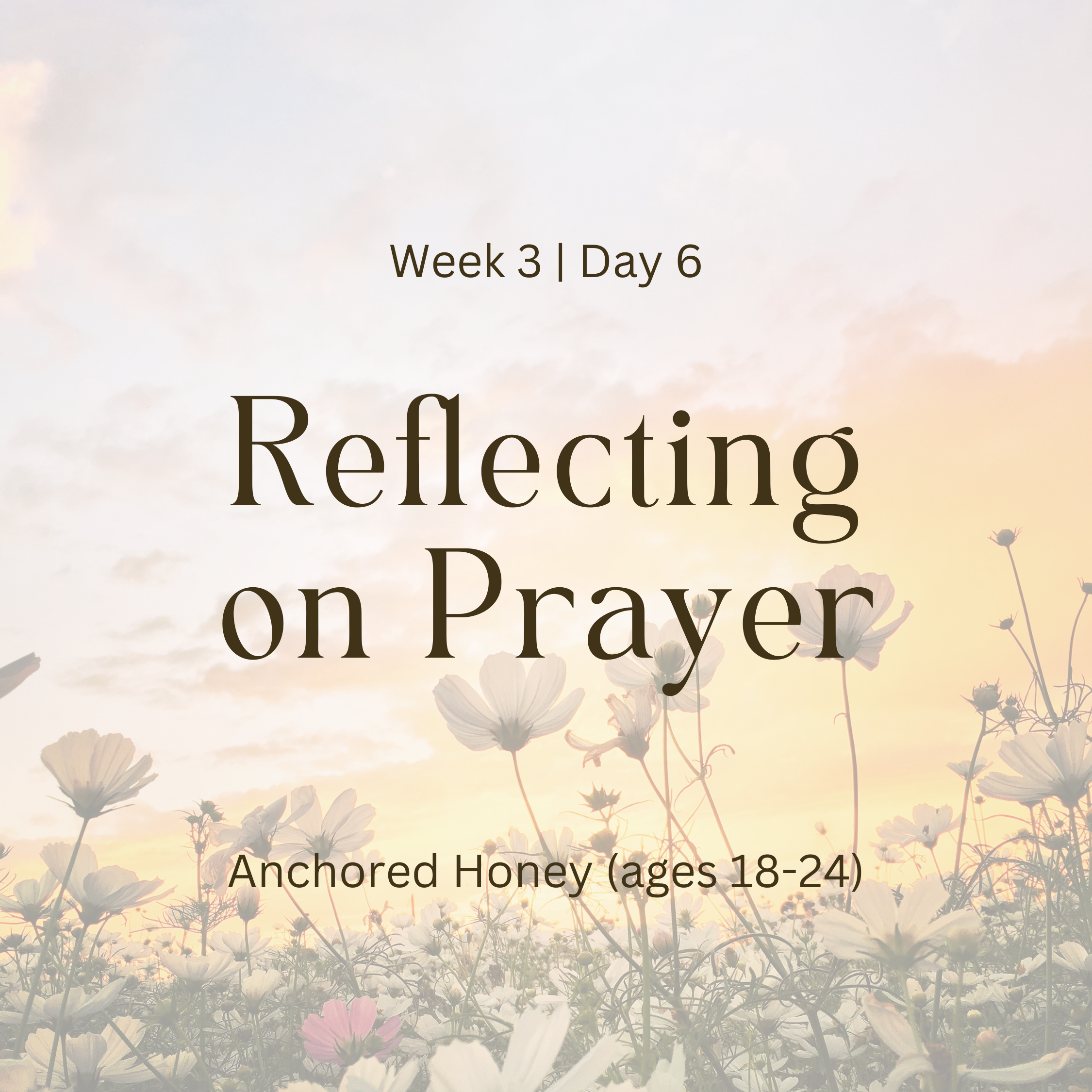 Week 3 | Day 6 – Reflecting on Prayer (Anchored Honey)