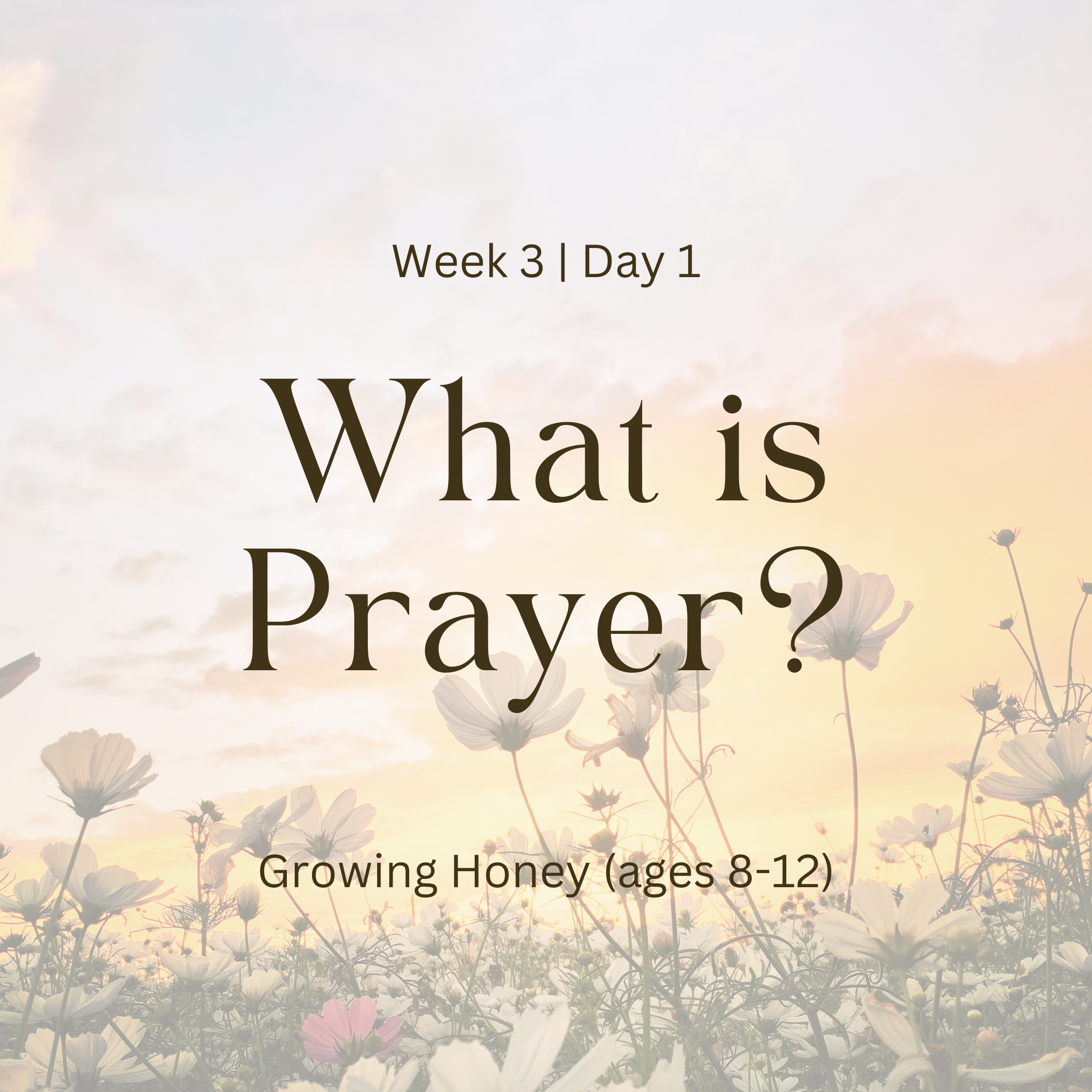 Week 3 | Day 1 – What is Prayer? (Growing Honey)