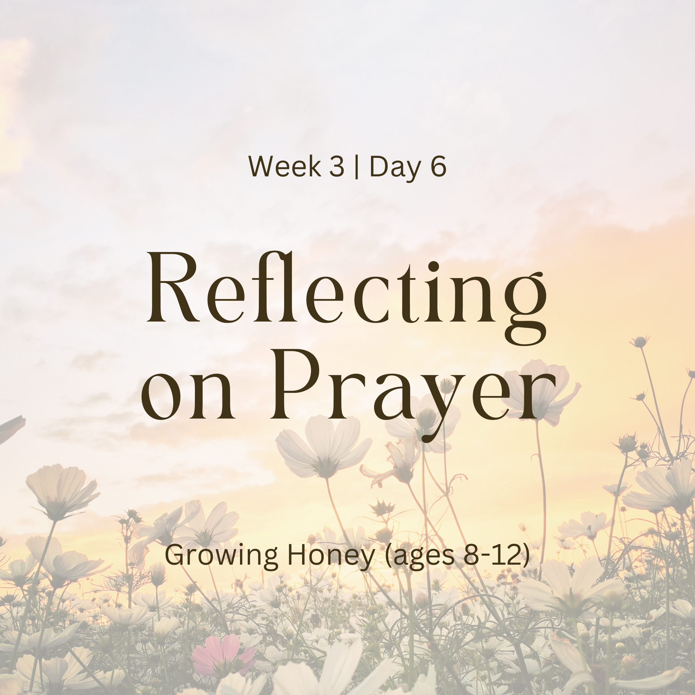 Week 3 | Day 6 –  Reflecting on Prayer (Growing Honey)