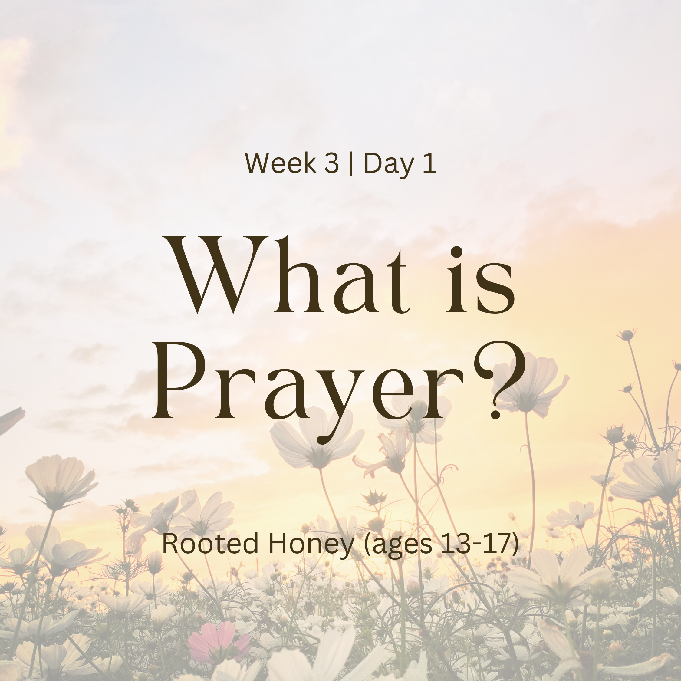 Week 3 | Day 1 – What is Prayer? (Rooted Honey)