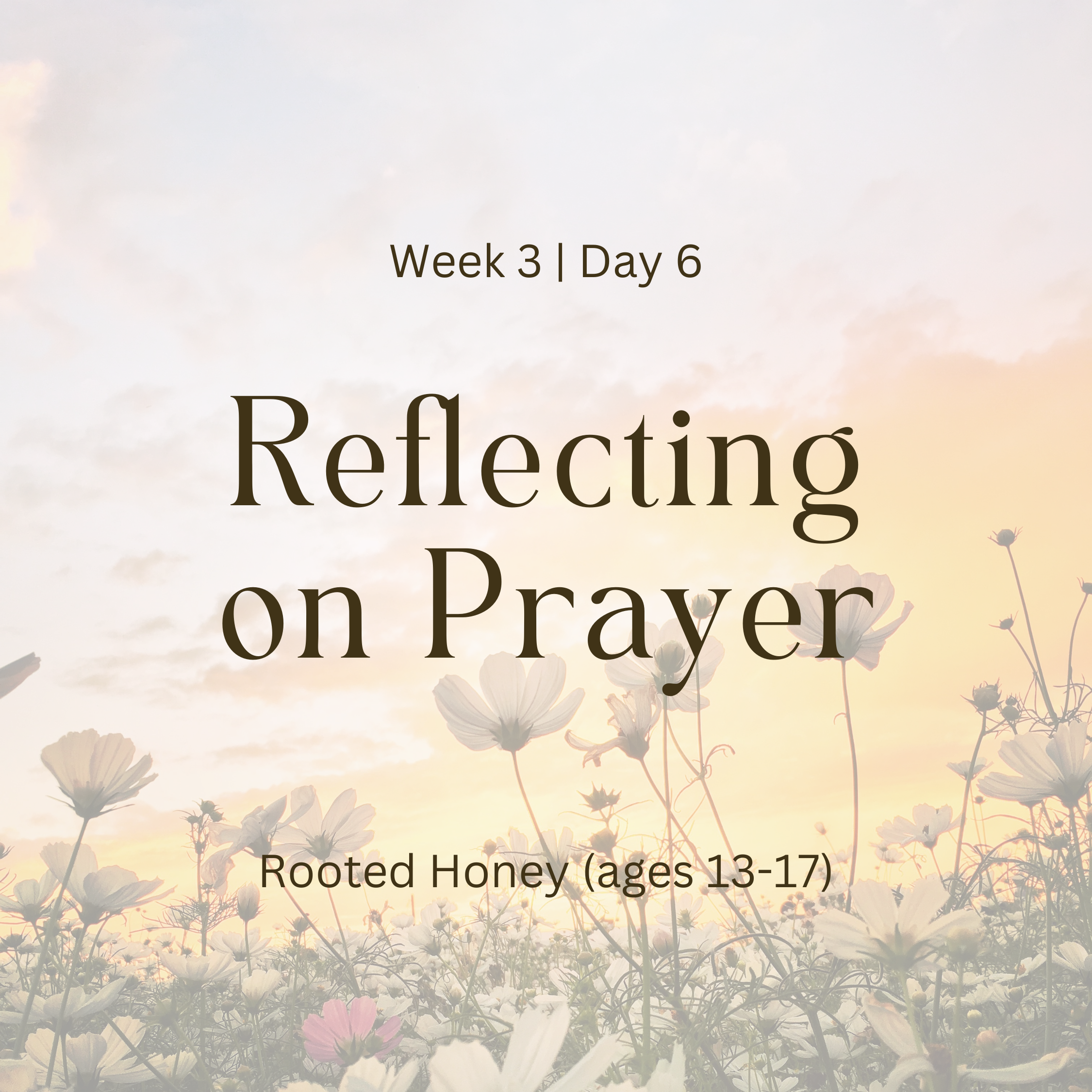 Week 3 | Day 6 – Reflecting on Prayer (Rooted Honey)