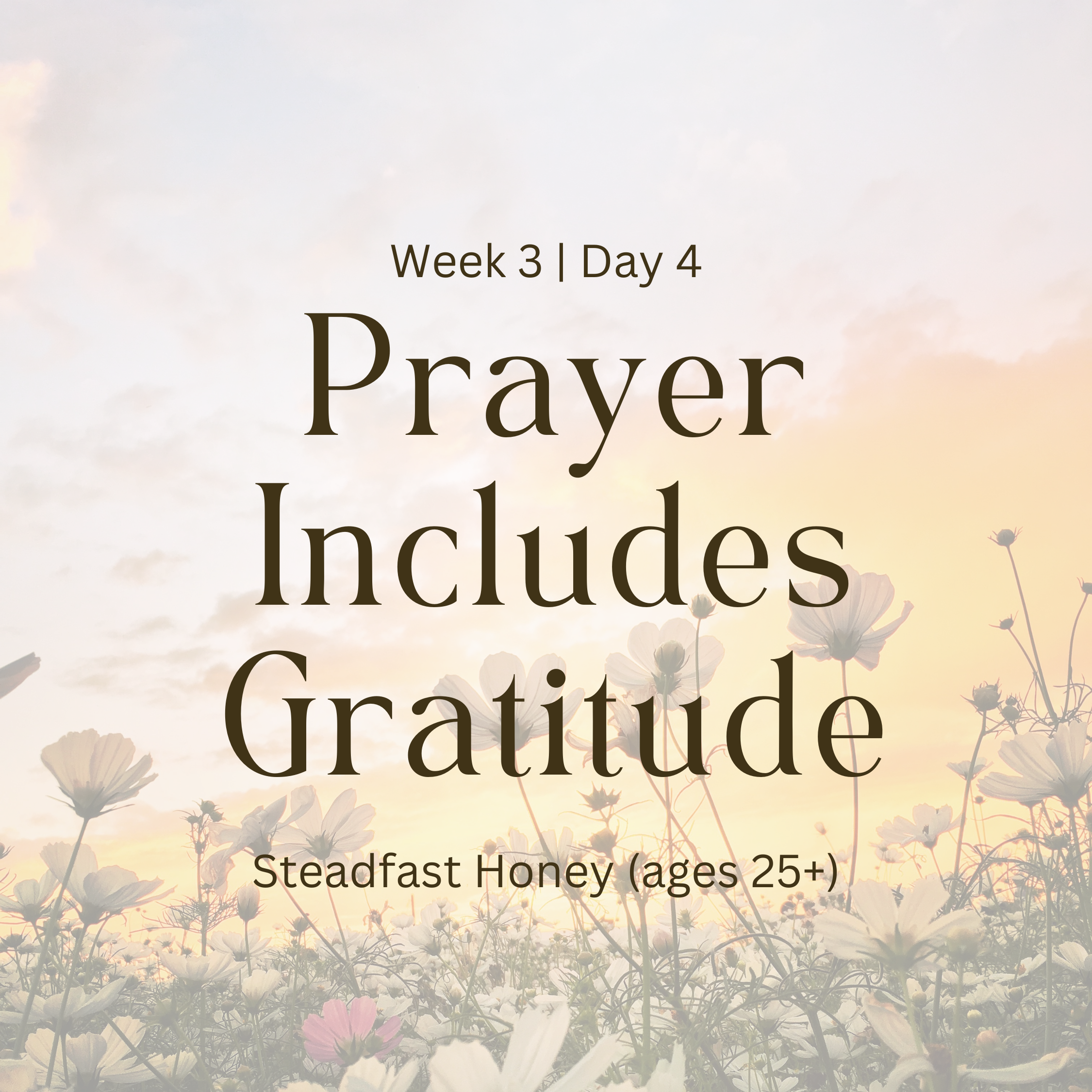 Week 3 | Day 4 – Prayer Includes Gratitude (Steadfast Honey)