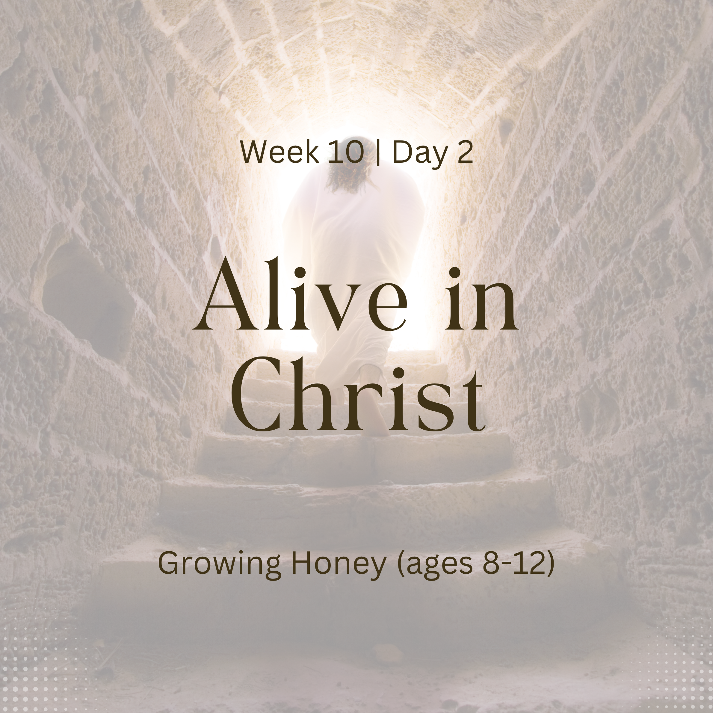 Alive in Christ – Week 10 | Day 2 (Growing Honey)