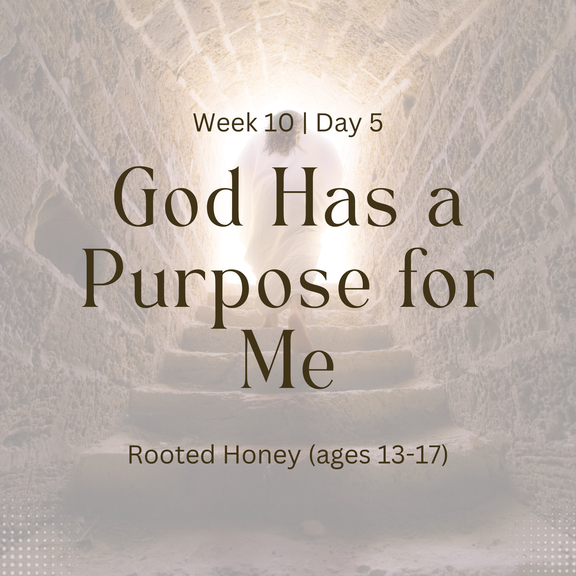 God Has a Purpose for Me – Week 10 | Day 5 (Rooted Honey)