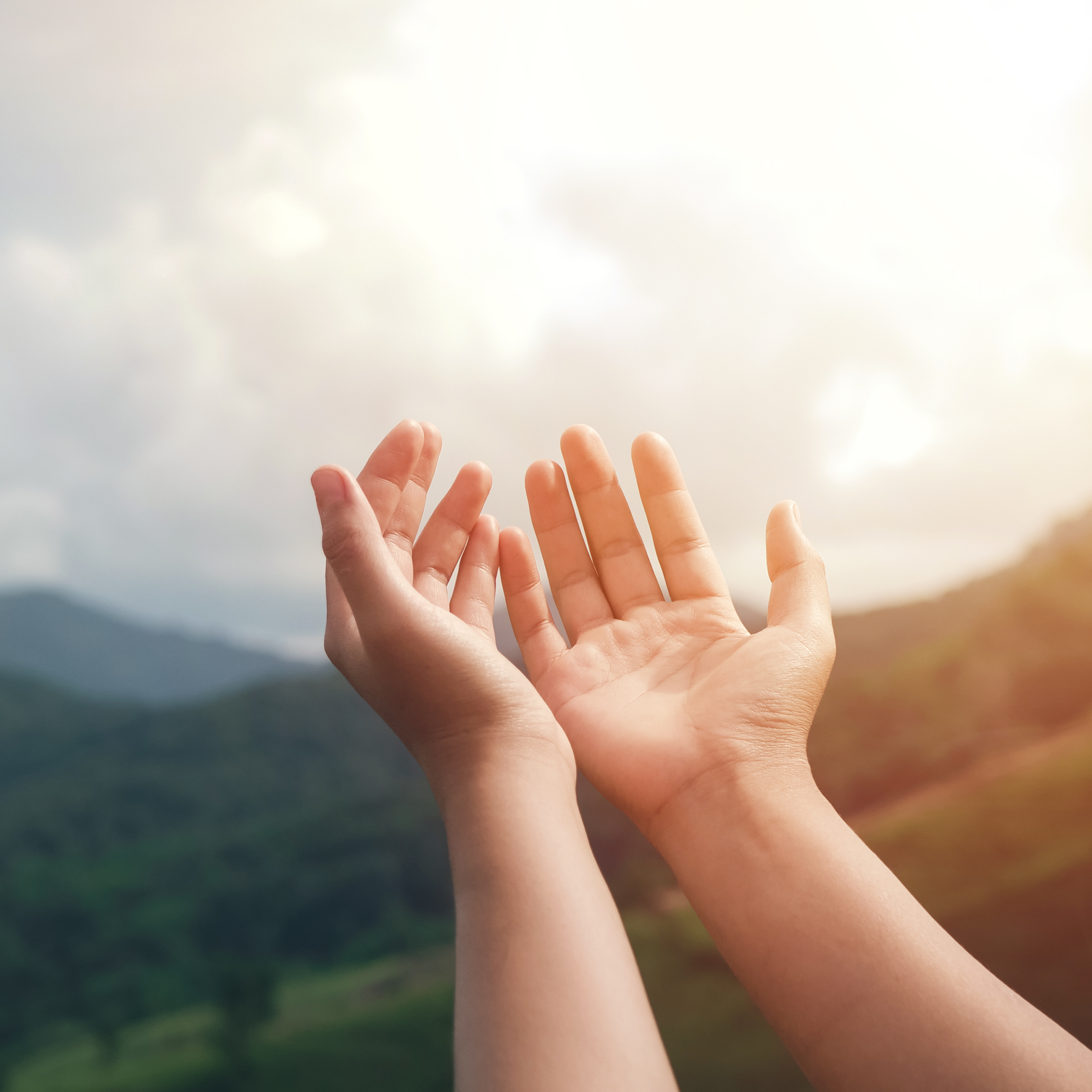 Loving God Through Obedience  – Week 15 | Day 1 (Steadfast Honey)