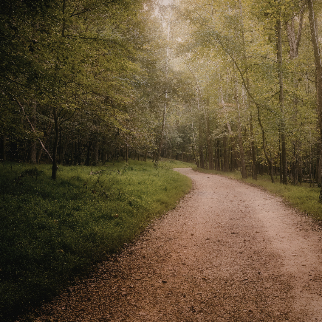 Walk in Kindness & Humility – Week 12 | Day 1 (Little Honey)