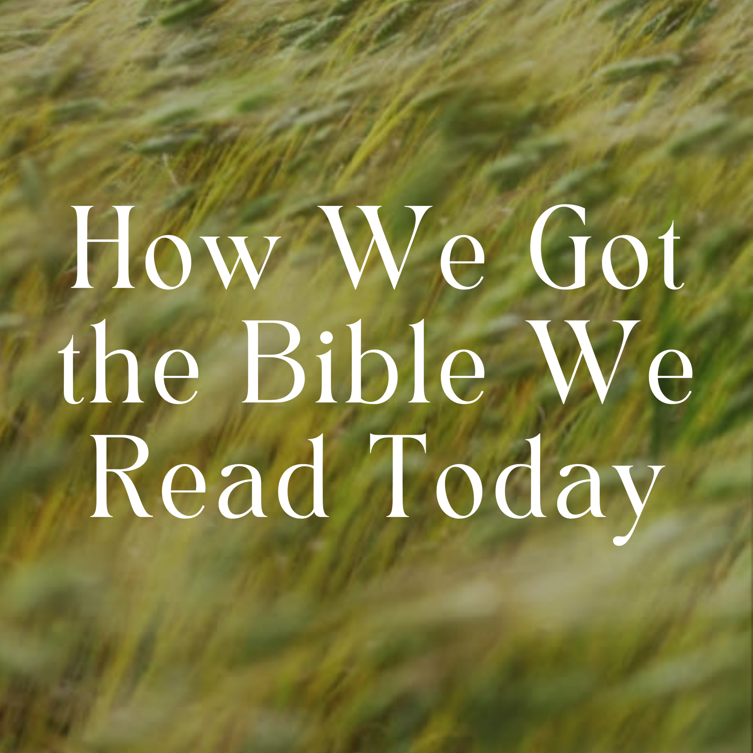 How We Got the Bible We Read Today